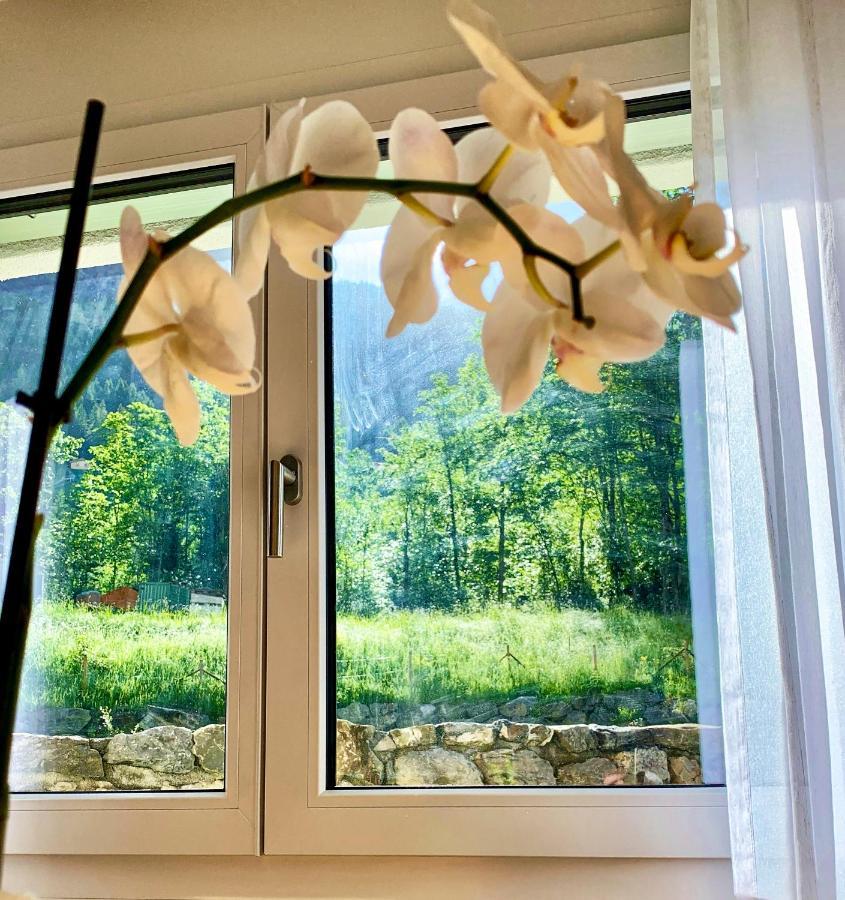 Bueelbad - Relax Holiday Apartment Кандерстег Екстериор снимка